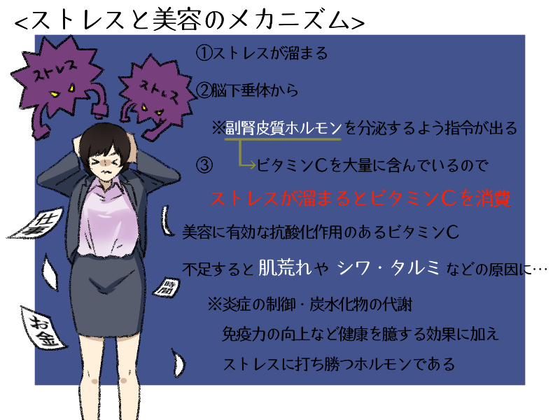 ストレスは美容の最大の敵 メンタルが美容に及ぼす危険性とは 暮らしのあるある体験記 Wakaru